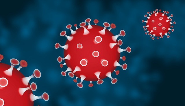 decreto; sanità; coronavirus; vaccino; DPCM; lockdown
